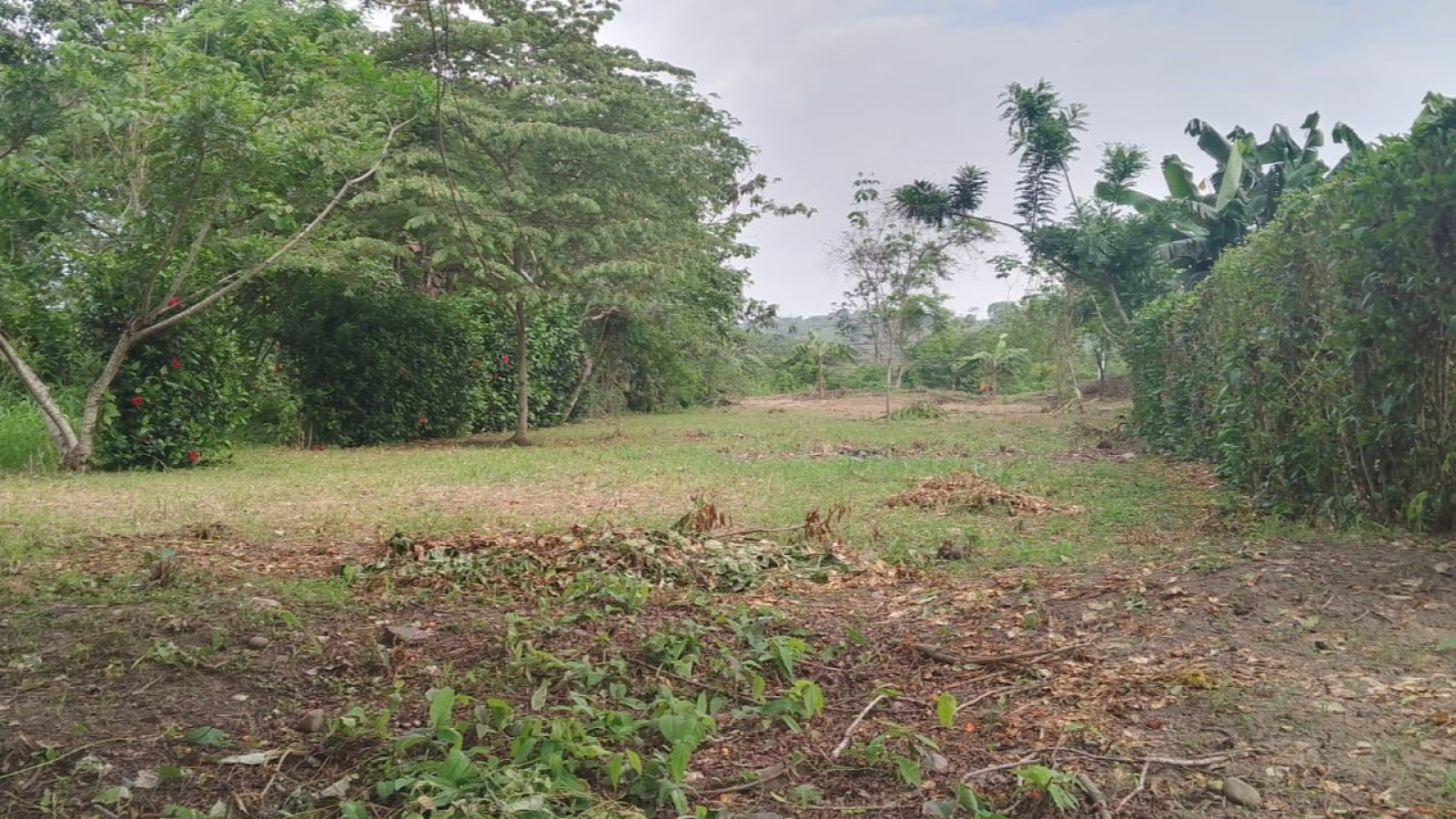 Terreno con una tranquilidad perfecta y alta plus valía Terreno con una tranquilidad perfecta y alta plus valía