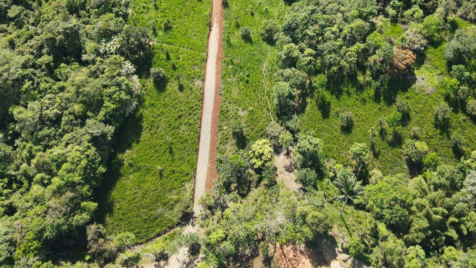 Terreno con una tranquilidad perfecta con la naturaleza Terreno con una tranquilidad perfecta con la naturaleza