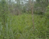 Cdla. Tierra Santa, El Oro, 0 , 0 ,0,Solar,En Venta,1118 Cdla. Tierra Santa, El Oro, 0 , 0 ,0,Solar,En Venta,1118