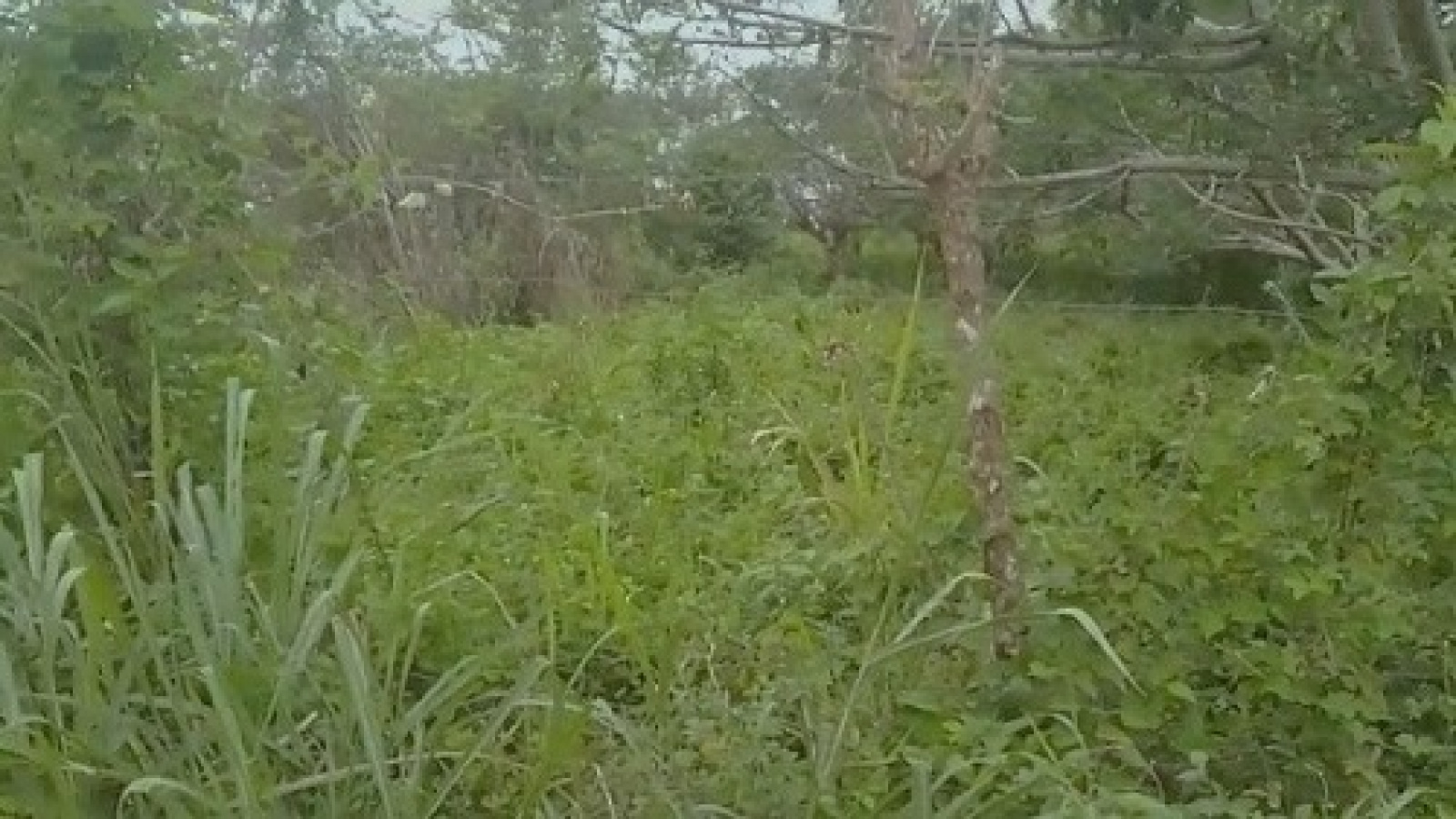 Cdla. Tierra Santa, El Oro, 0 , 0 ,0,Solar,En Venta,1118 Cdla. Tierra Santa, El Oro, 0 , 0 ,0,Solar,En Venta,1118