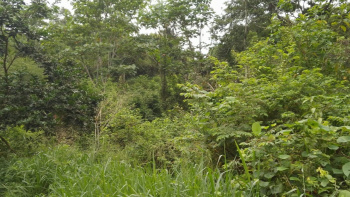 Zona que se conecta con la naturaleza y seguro