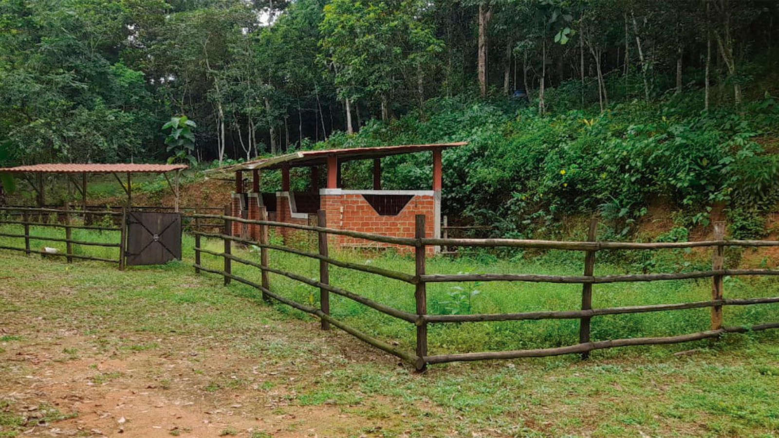 Vía La Chilca, Parroquia Rural Torata, El Oro, 0 , 0 ,0,Terreno agrícola,En Venta,Vía La Chilca,1027 Vía La Chilca, Parroquia Rural Torata, El Oro, 0 , 0 ,0,Terreno agrícola,En Venta,Vía La Chilca,1027
