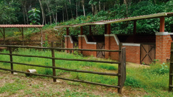 Vía La Chilca, Parroquia Rural Torata, El Oro, 0 , 0 ,0,Terreno agrícola,En Venta,Vía La Chilca,1027