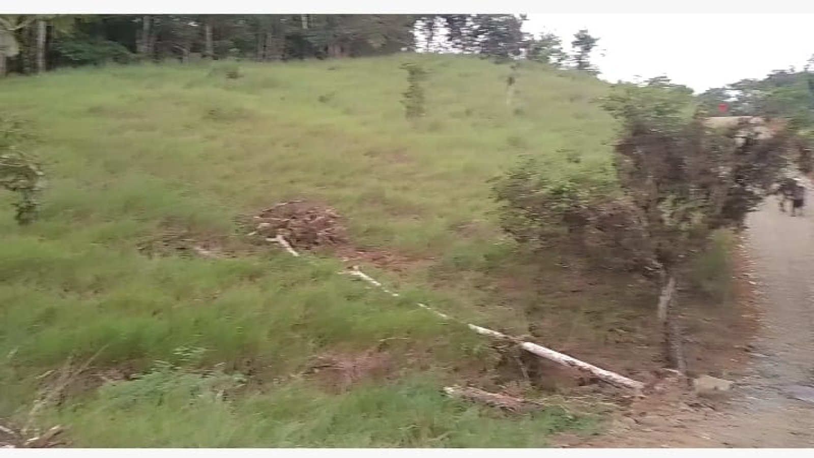 Permite poder sembrar cualquier cultivo Permite poder sembrar cualquier cultivo