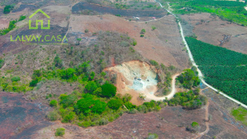 Parroquia Rural Palmales, El Oro, 0 , 0 ,0,Terreno agrícola,En Venta,1088