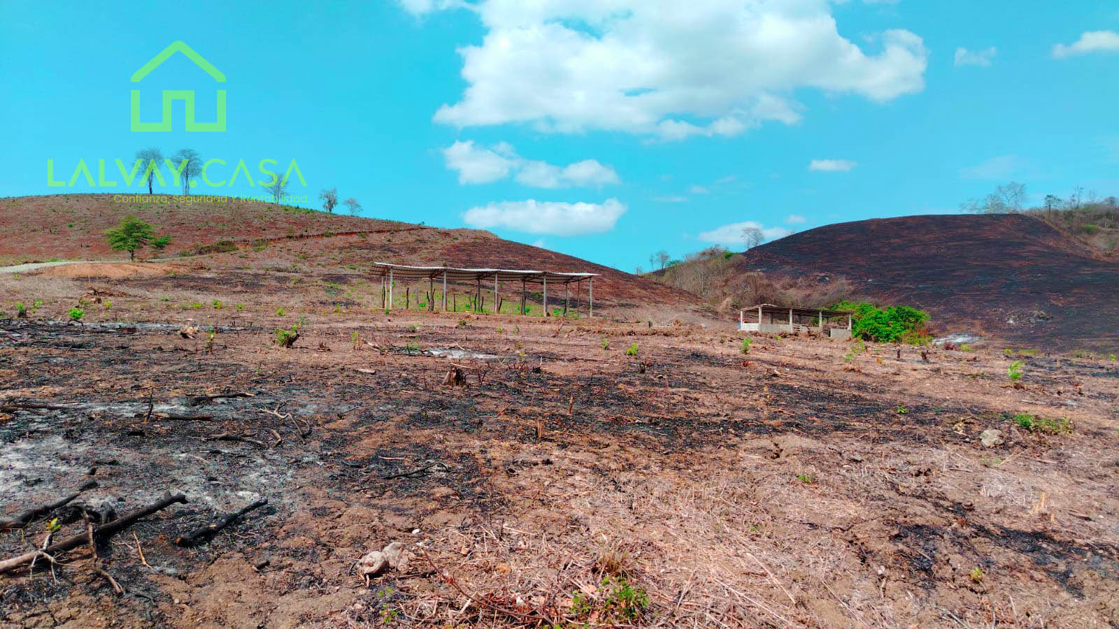 Parroquia Rural Palmales, El Oro, 0 , 0 ,0,Terreno agrícola,En Venta,1088 Parroquia Rural Palmales, El Oro, 0 , 0 ,0,Terreno agrícola,En Venta,1088